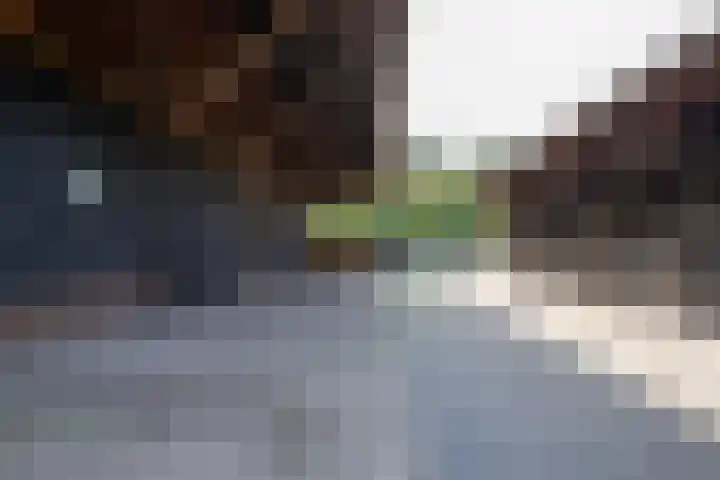 Haarweg 60 Maarsbergen thumbnail 39