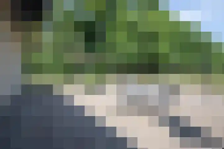 Haarweg 60 Maarsbergen thumbnail 4