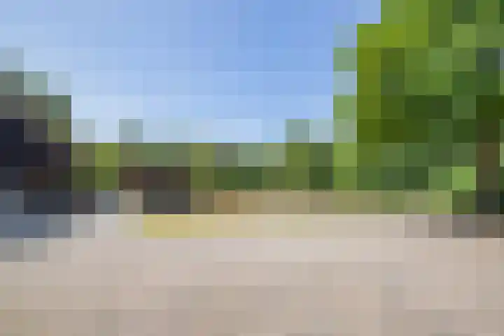 Haarweg 60 Maarsbergen thumbnail 42