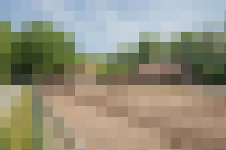 Haarweg 60 Maarsbergen thumbnail 43