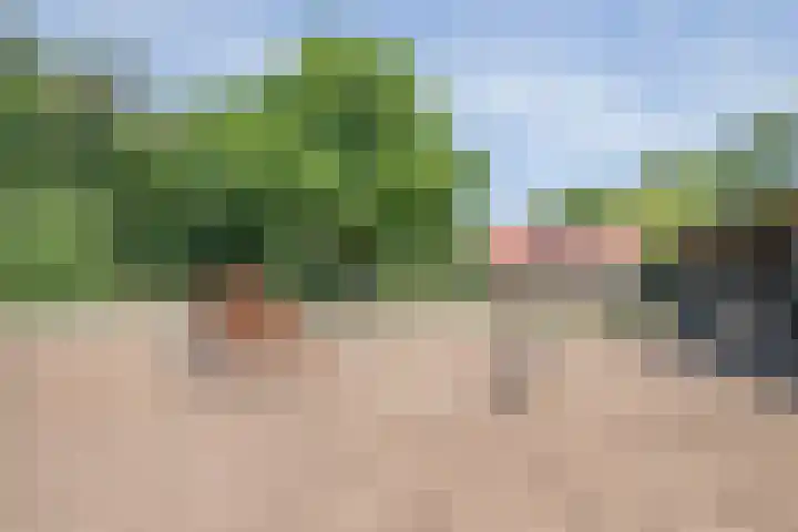 Haarweg 60 Maarsbergen thumbnail 44