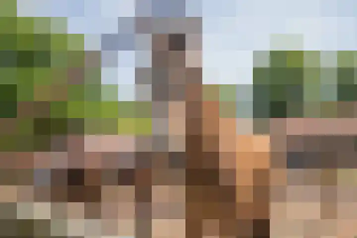 Haarweg 60 Maarsbergen thumbnail 45