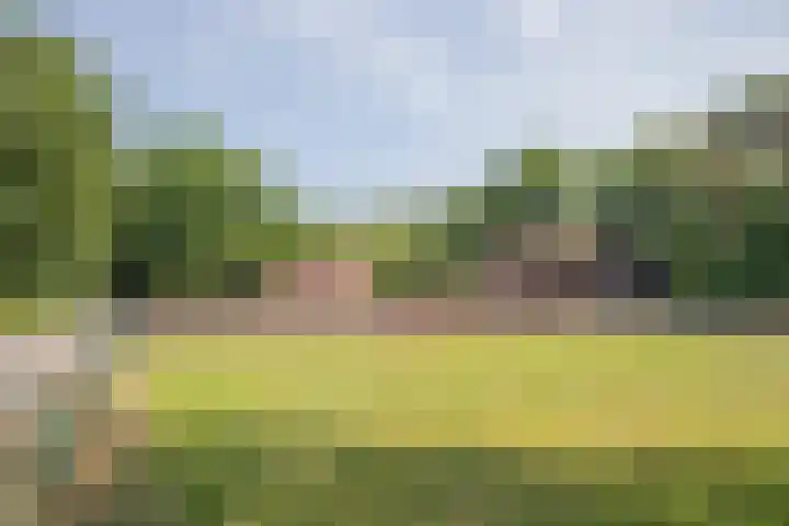 Haarweg 60 Maarsbergen thumbnail 47