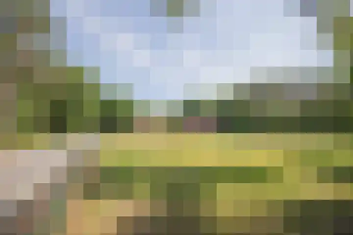 Haarweg 60 Maarsbergen thumbnail 48