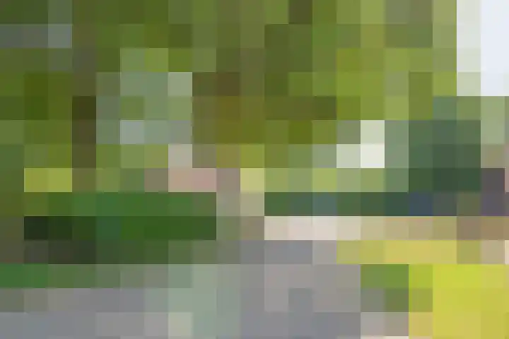 Haarweg 60 Maarsbergen thumbnail 49