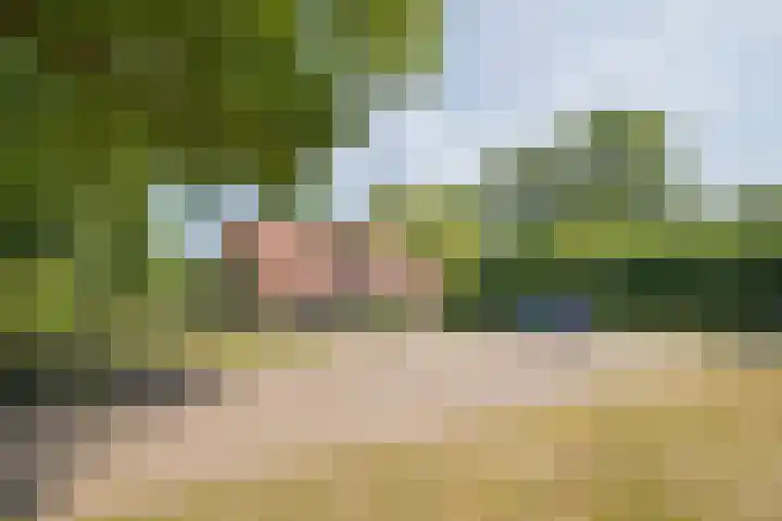 Haarweg 60 Maarsbergen thumbnail 50
