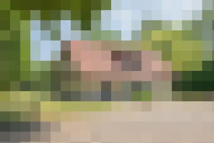 Haarweg 60 Maarsbergen thumbnail 51
