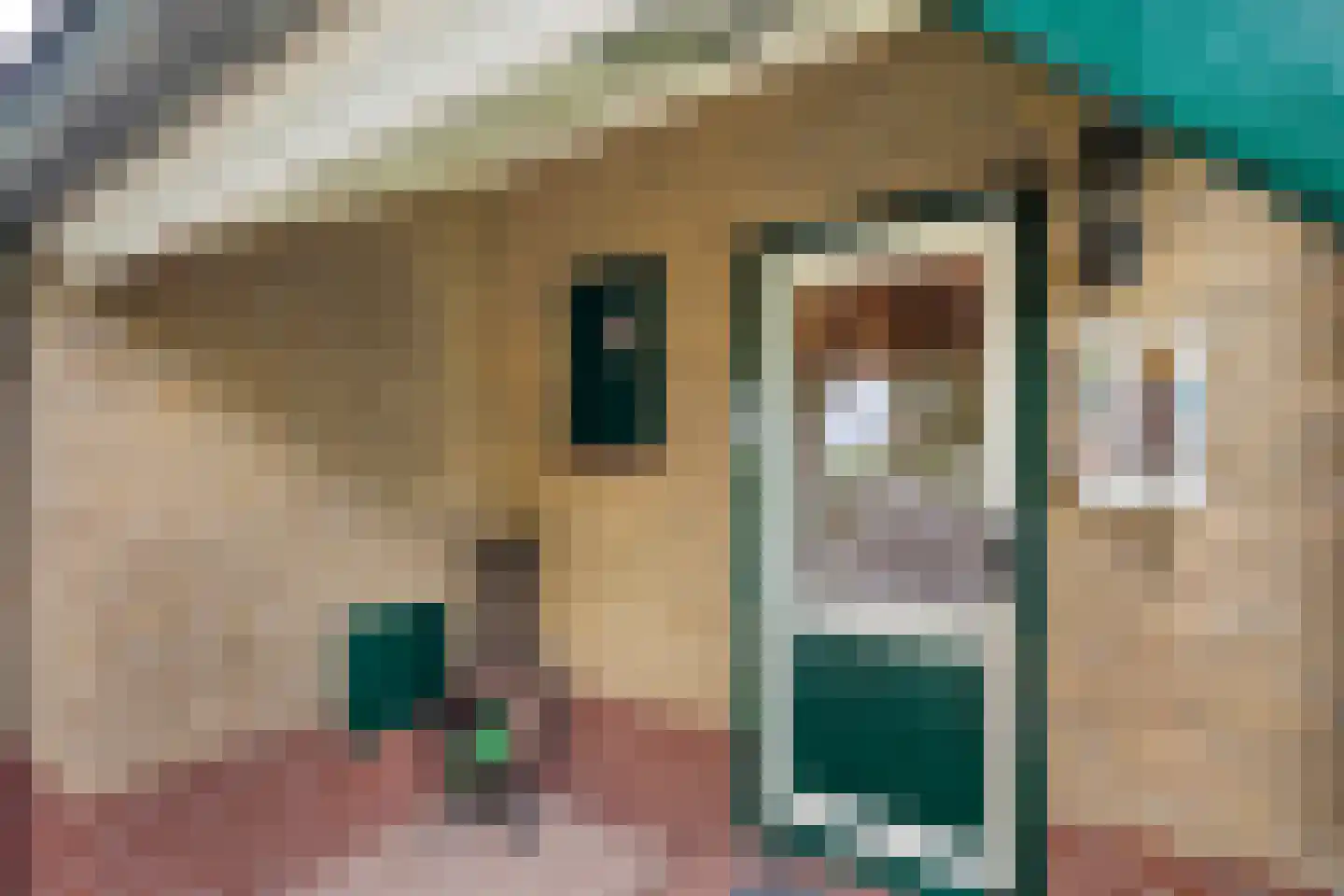 Haarweg 8 a Tiendeveen thumbnail 13