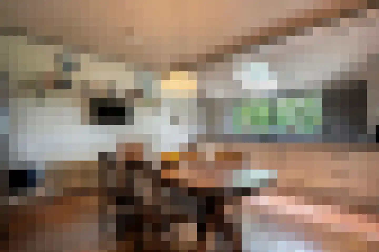 Haarweg 8 a Tiendeveen thumbnail 6