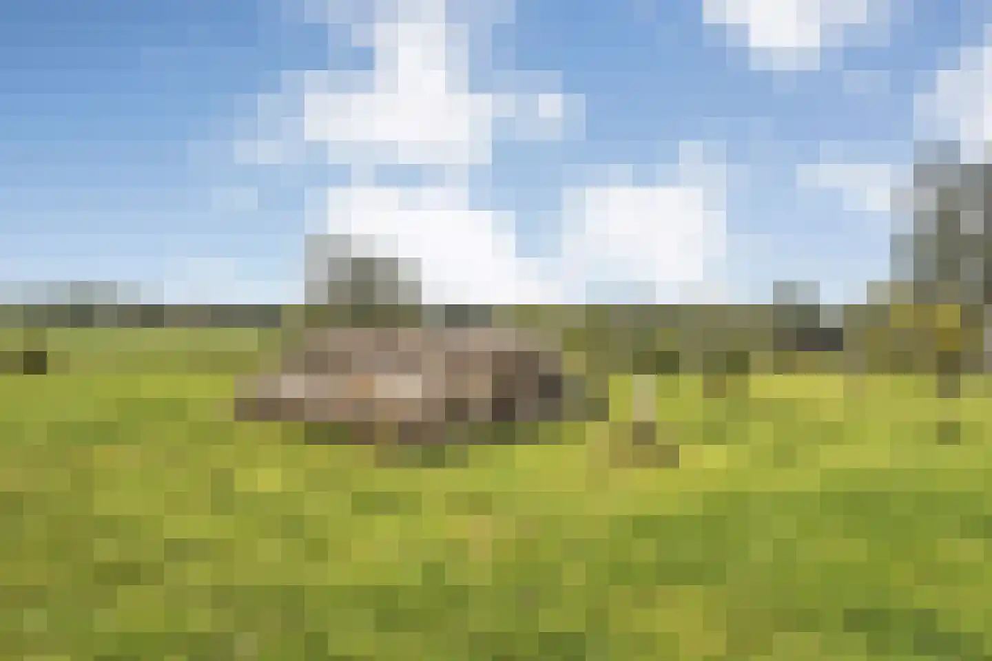 Haarweg 8 a Tiendeveen thumbnail 60