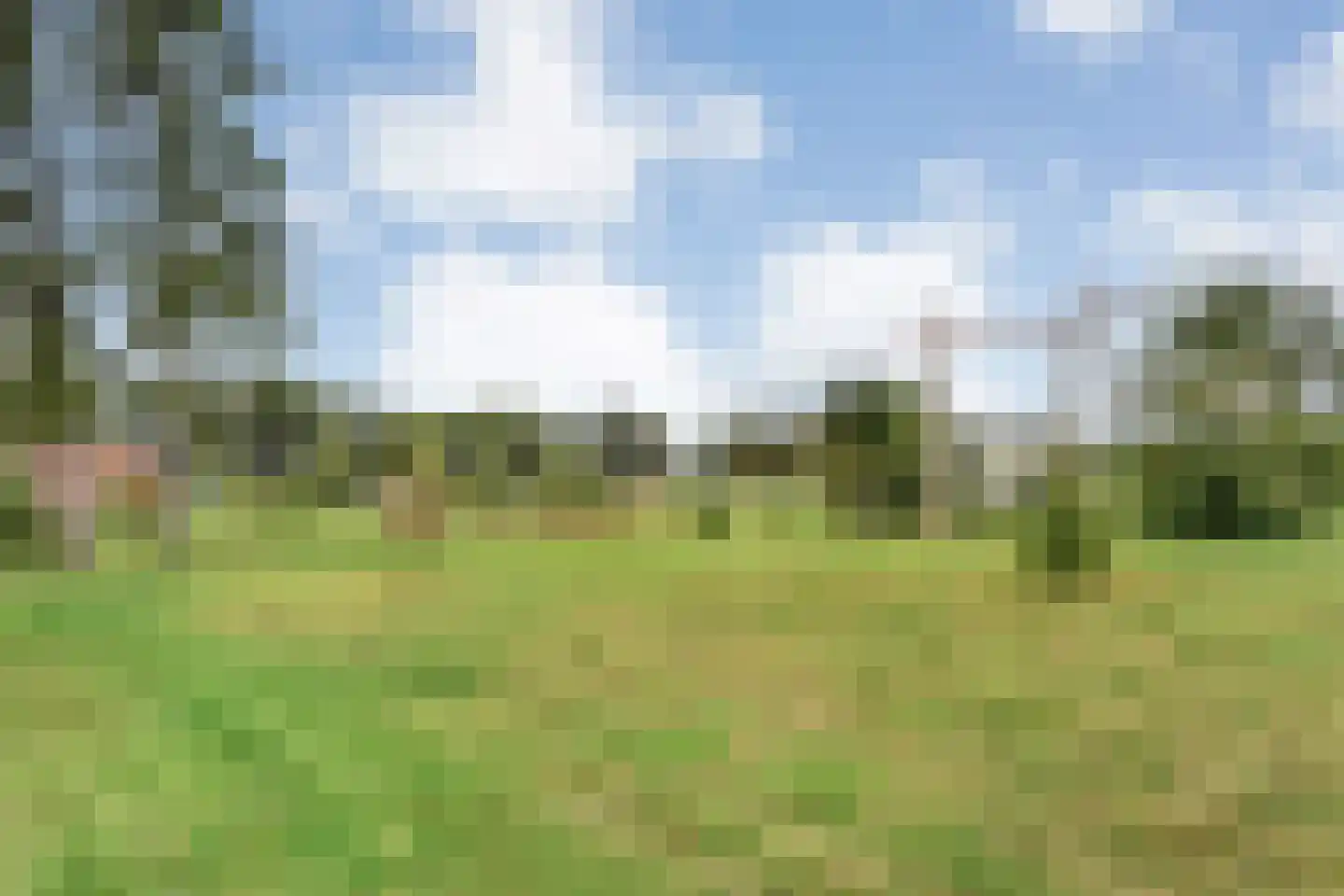 Haarweg 8 a Tiendeveen thumbnail 61