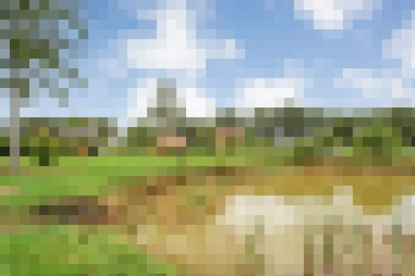 Haarweg 8 a Tiendeveen thumbnail 62