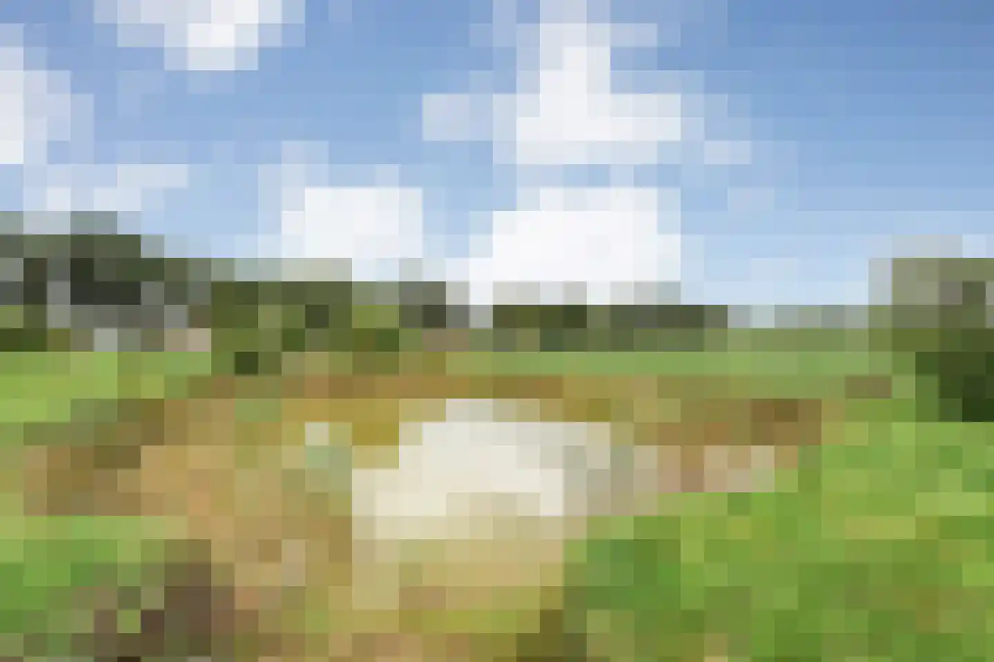 Haarweg 8 a Tiendeveen thumbnail 63