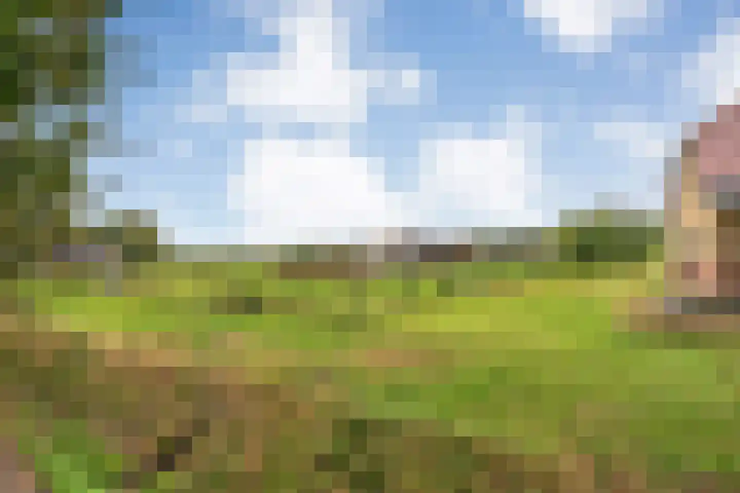 Haarweg 8 a Tiendeveen thumbnail 69