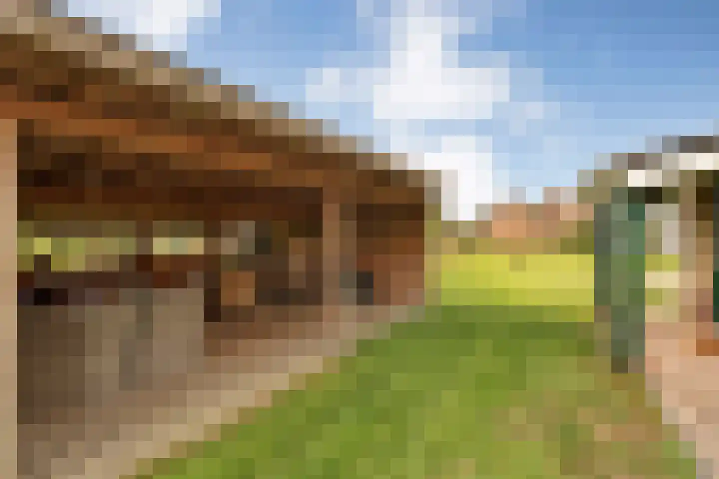 Haarweg 8 a Tiendeveen thumbnail 76