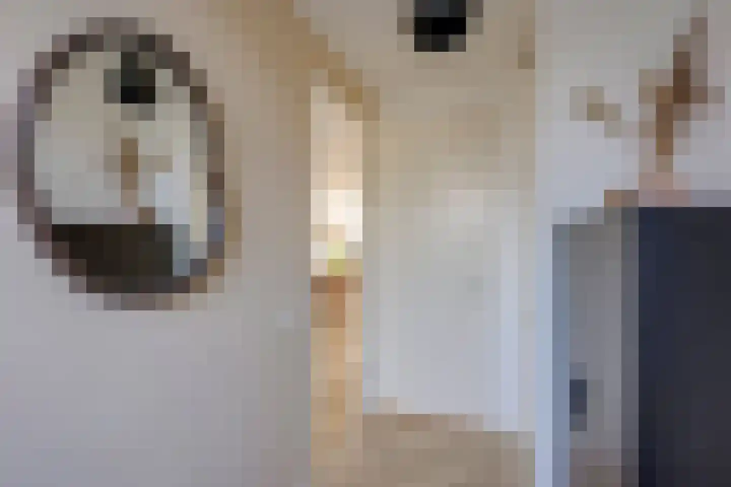 Haarzichtlaan 102 Vleuten thumbnail 10