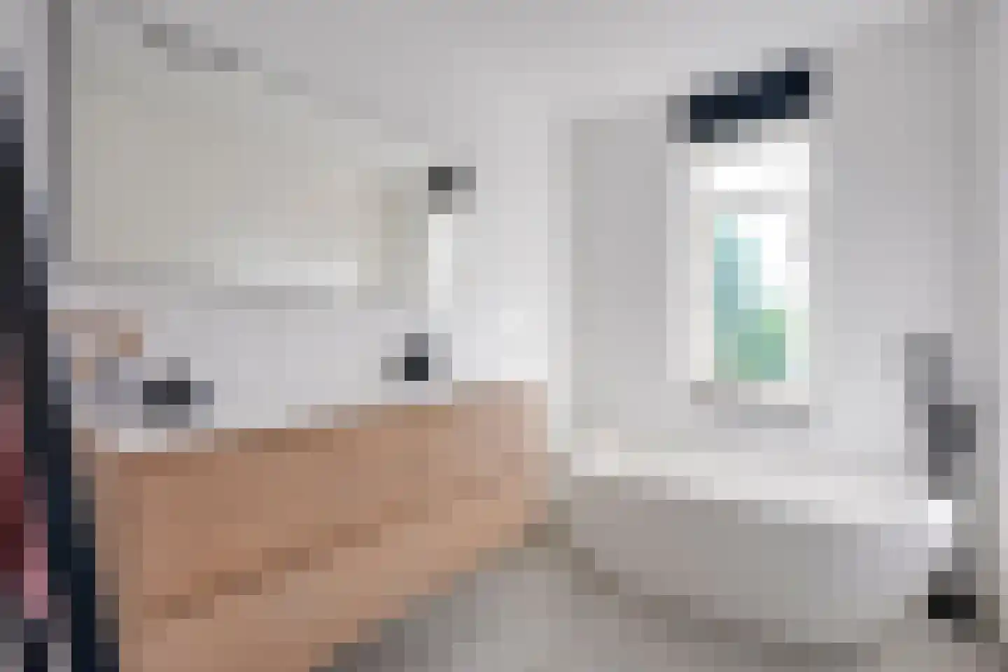 Haarzichtlaan 102 Vleuten thumbnail 41