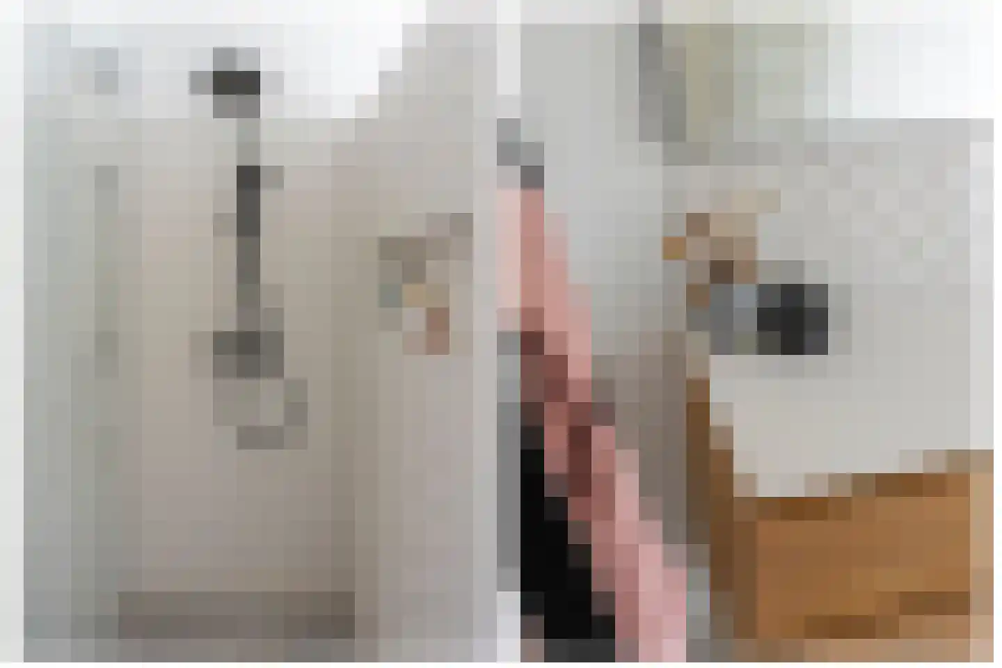 Haarzichtlaan 102 Vleuten thumbnail 42