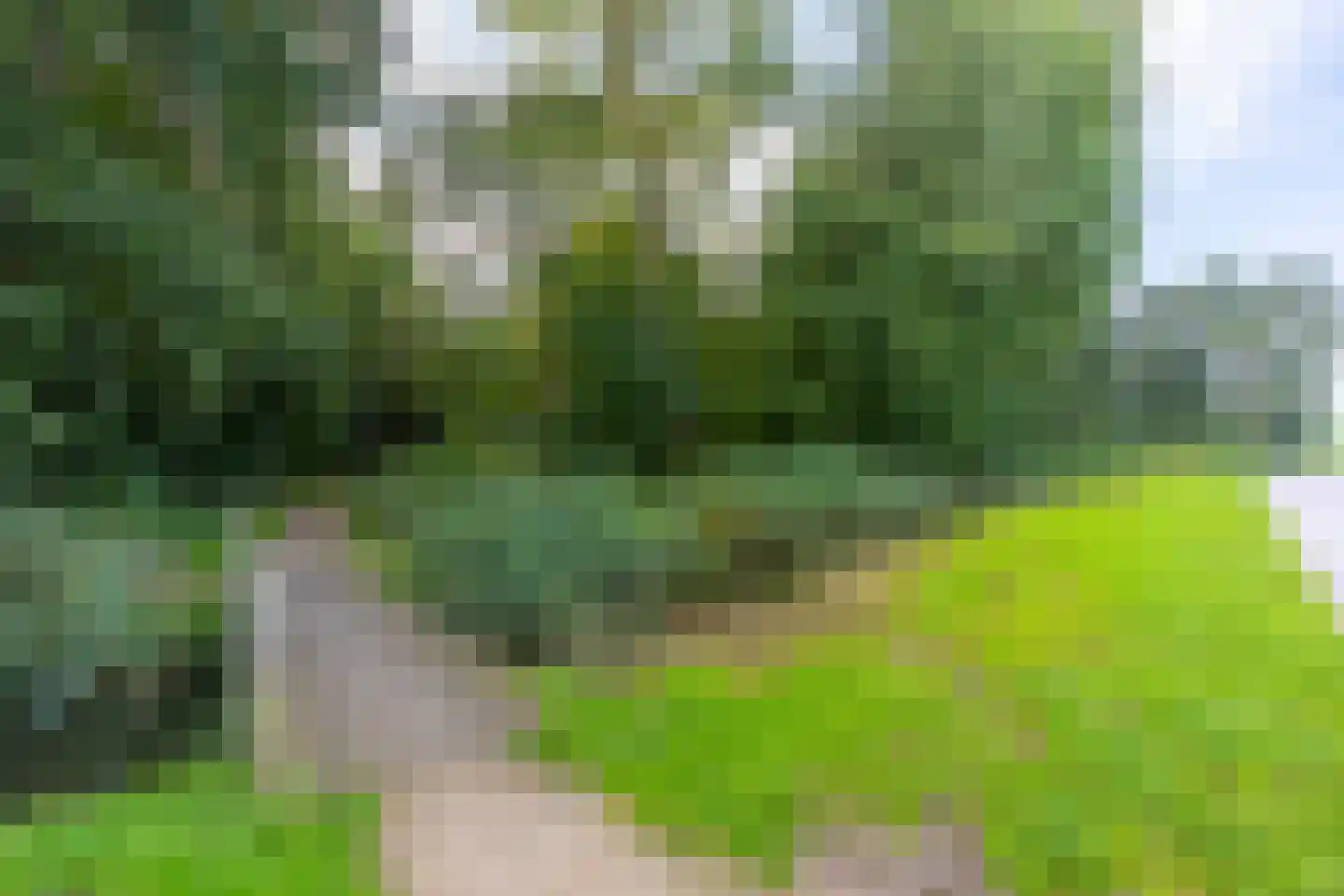 Haarzichtlaan 102 Vleuten thumbnail 55