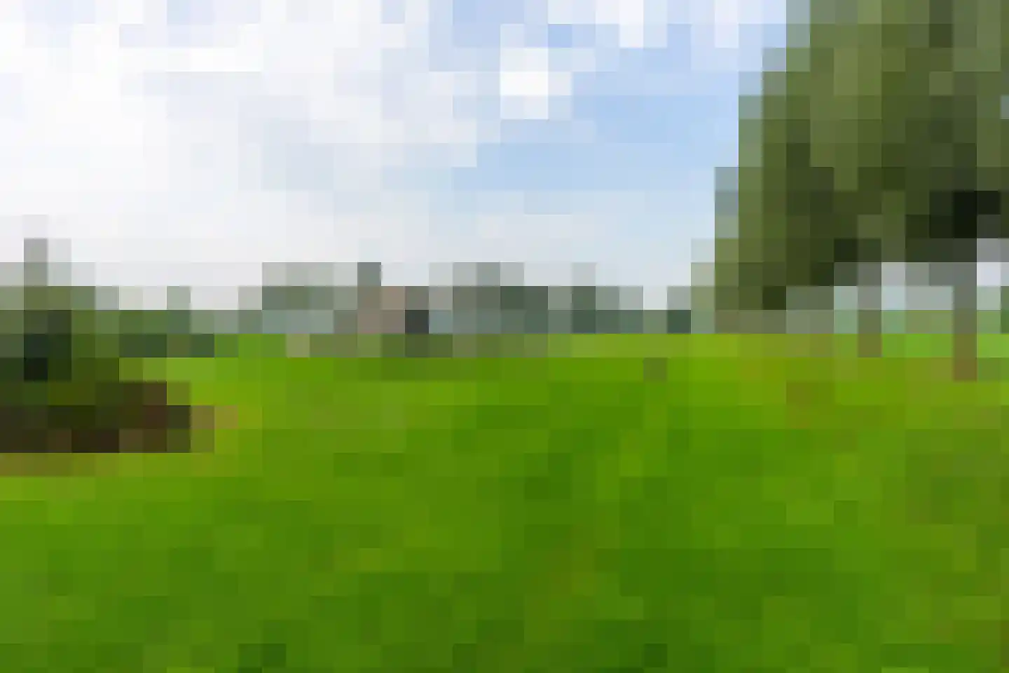 Haarzichtlaan 102 Vleuten thumbnail 58