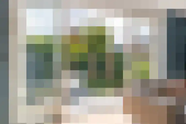 Haarzichtlaan 113 Vleuten thumbnail 11