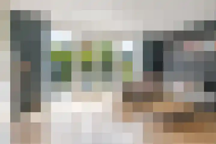 Haarzichtlaan 113 Vleuten foto 2