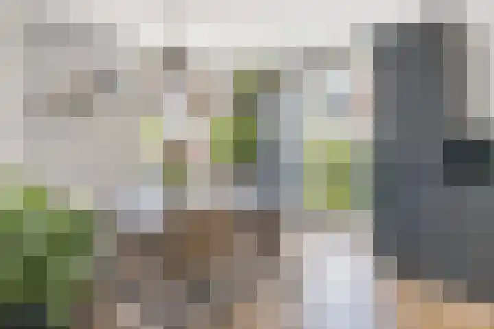 Haarzichtlaan 113 Vleuten thumbnail 21