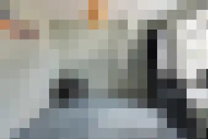 Haarzichtlaan 113 Vleuten thumbnail 39