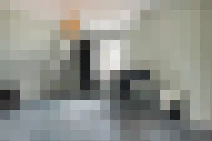 Haarzichtlaan 113 Vleuten thumbnail 40