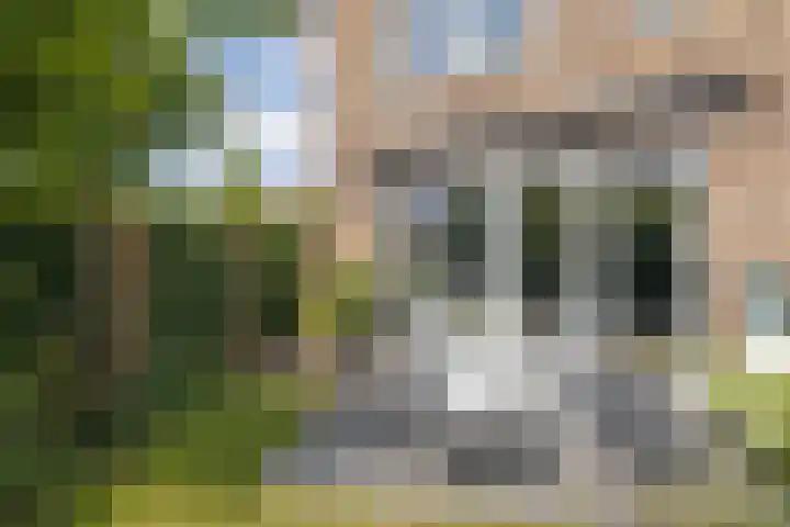 Haarzichtlaan 113 Vleuten thumbnail 42