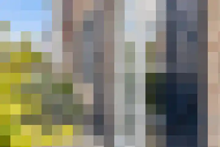 Haarzichtlaan 113 Vleuten thumbnail 43