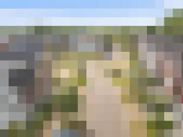 Haarzichtlaan 113 Vleuten thumbnail 46