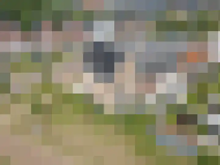 Haarzichtlaan 113 Vleuten thumbnail 49