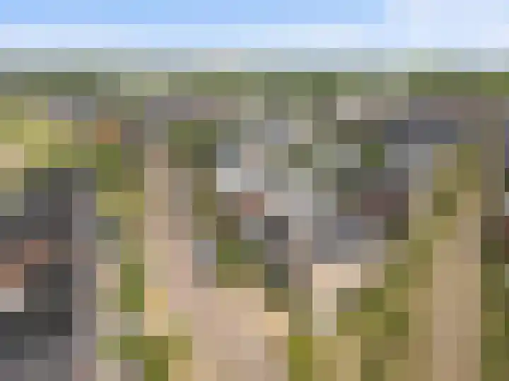 Haarzichtlaan 113 Vleuten thumbnail 51