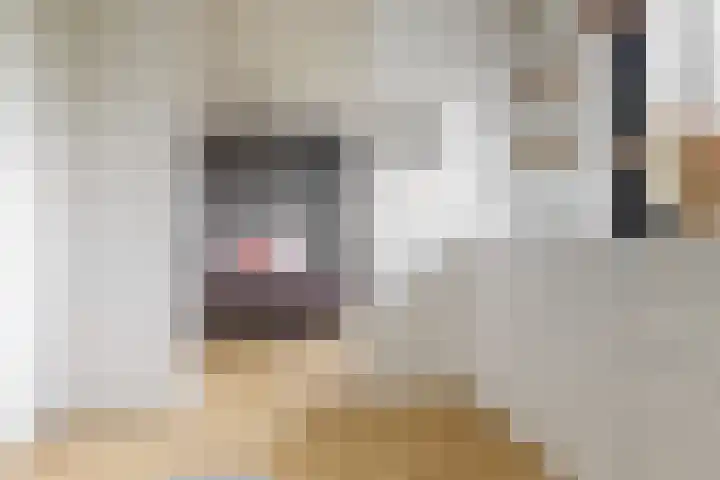 Haarzichtlaan 4 Vleuten thumbnail 23