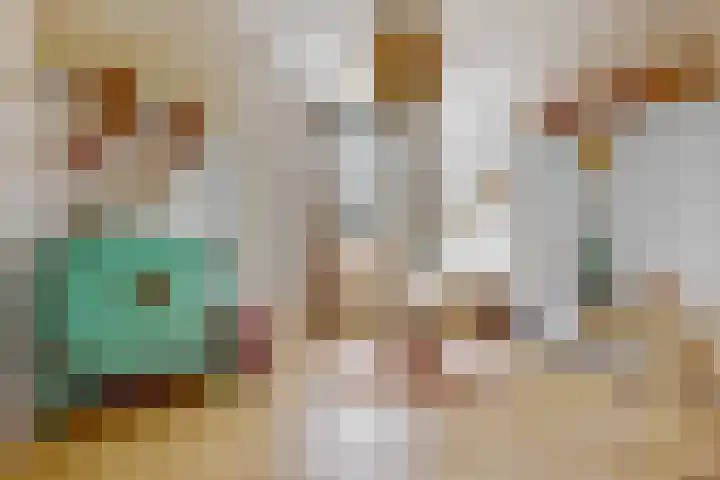 Haarzichtlaan 4 Vleuten thumbnail 24