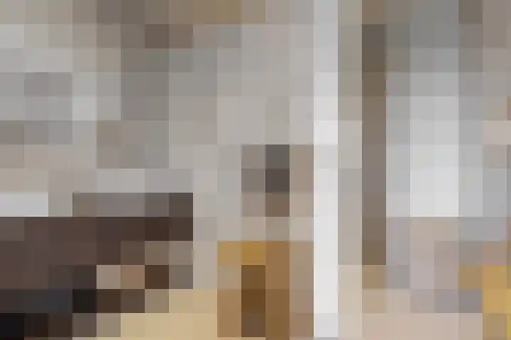 Haarzichtlaan 4 Vleuten thumbnail 28