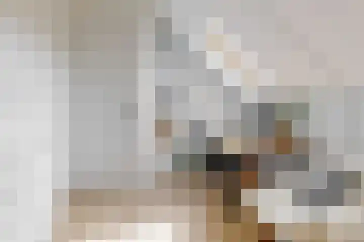 Haarzichtlaan 4 Vleuten thumbnail 36