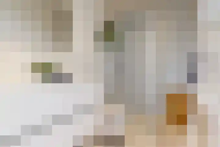 Haarzichtlaan 4 Vleuten thumbnail 38