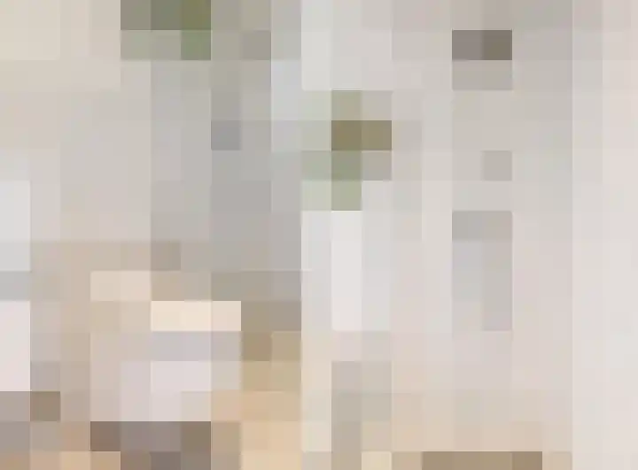Haarzichtlaan 4 Vleuten thumbnail 39