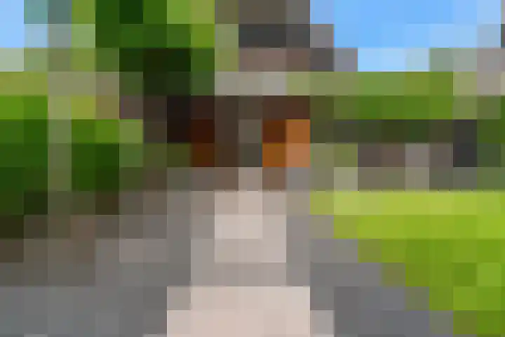 Haarzichtlaan 4 Vleuten thumbnail 41