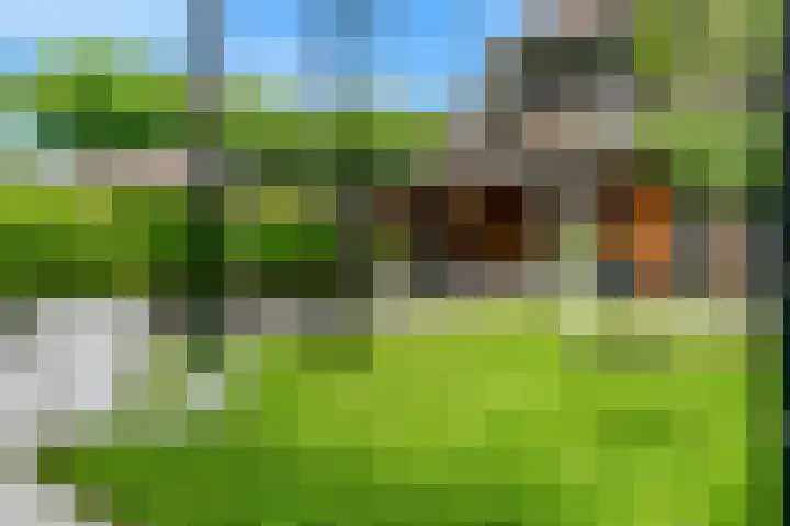 Haarzichtlaan 4 Vleuten thumbnail 43