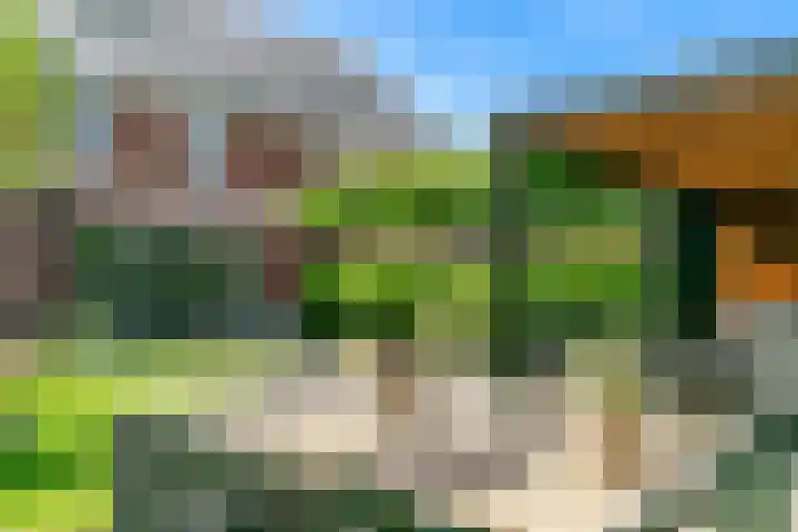 Haarzichtlaan 4 Vleuten thumbnail 48