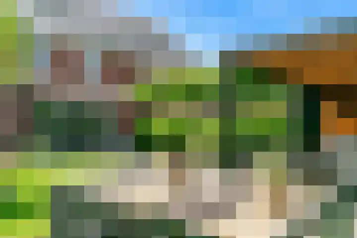 Haarzichtlaan 4 Vleuten thumbnail 5