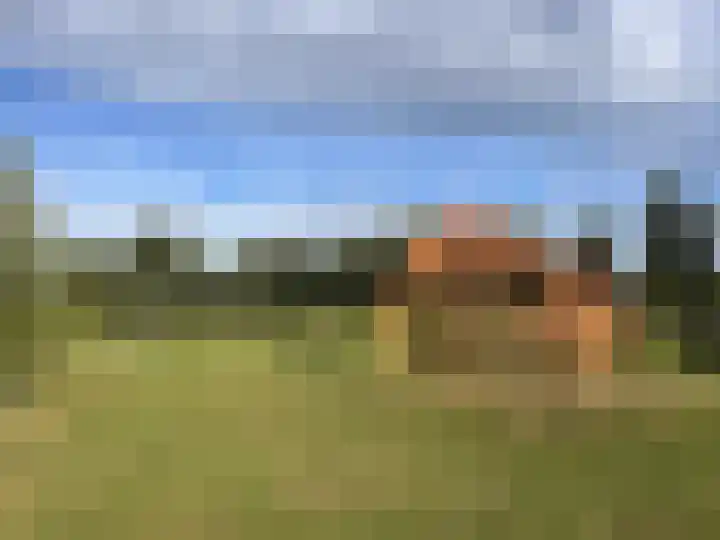 Haarzichtlaan 4 Vleuten thumbnail 66
