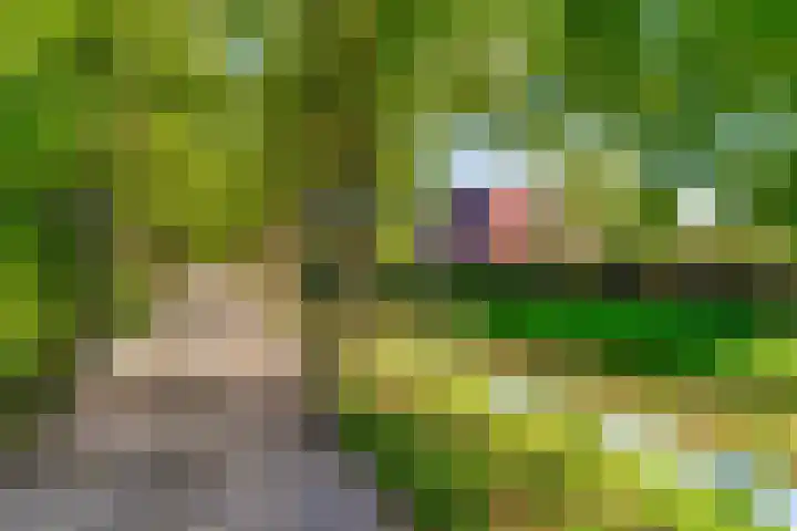 Haarzichtlaan 4 Vleuten thumbnail 67
