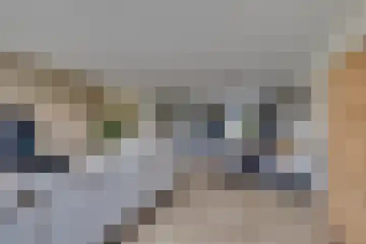 Haarzichtlaan 41 Vleuten thumbnail 12
