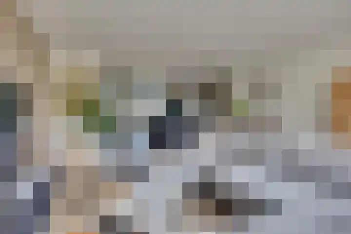 Haarzichtlaan 41 Vleuten thumbnail 14