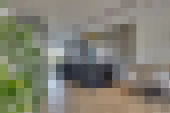 Haarzichtlaan 41 Vleuten thumbnail 15