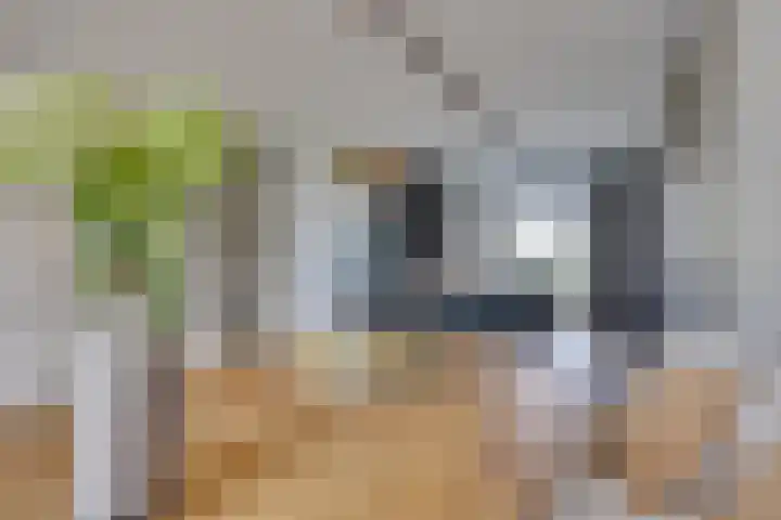 Haarzichtlaan 41 Vleuten thumbnail 16